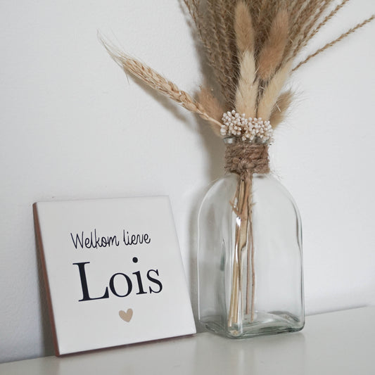 Geboorte tegeltje ''welkom lieve...''