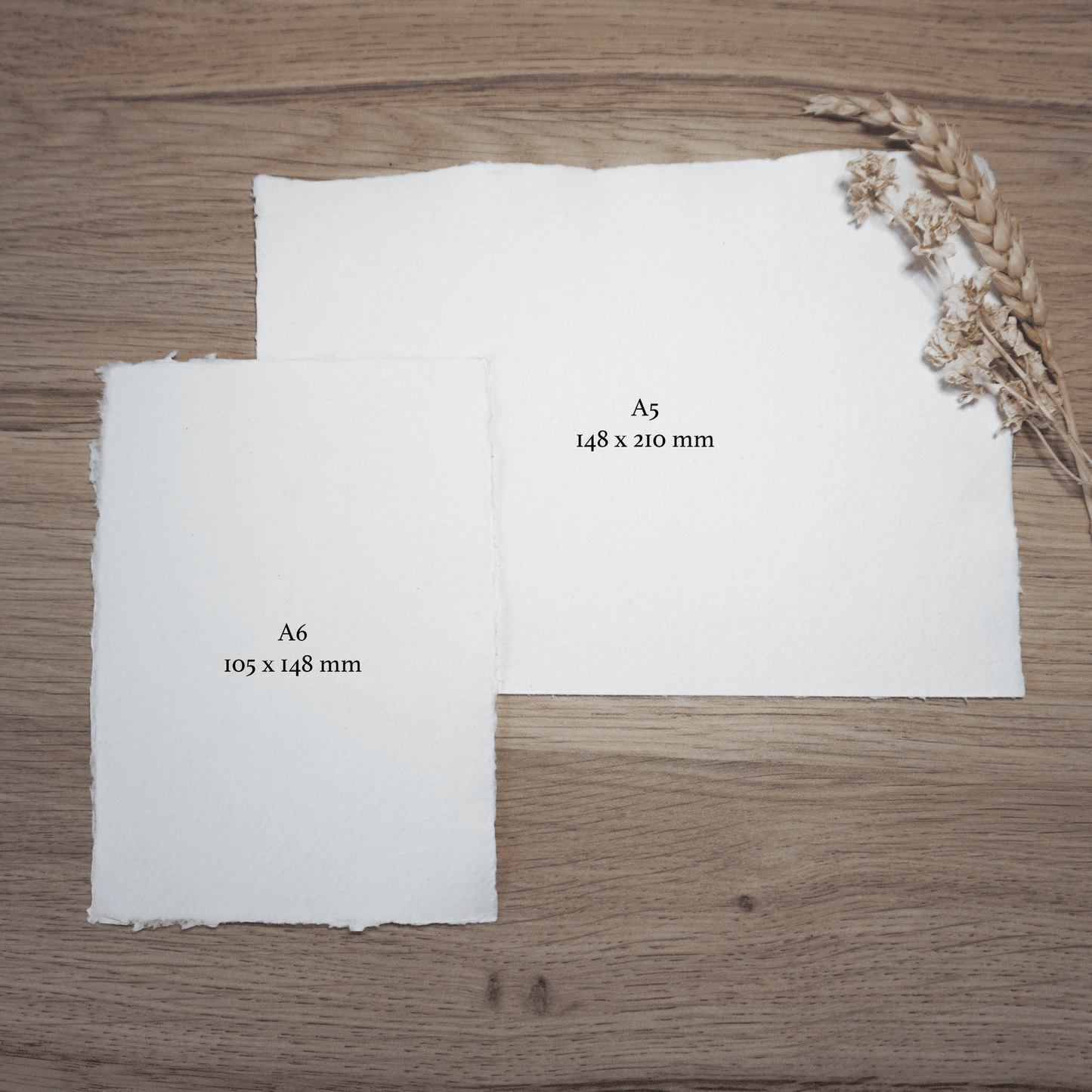 Portret Line Art Illustratie Op Handgeschept Katoenpapier