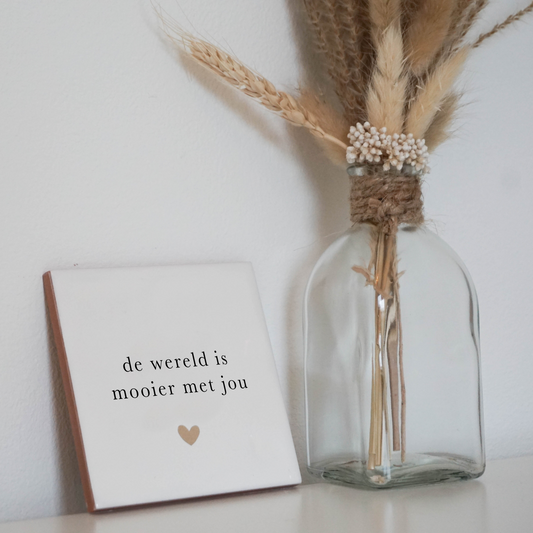 Tegeltje - De wereld is mooier met jou