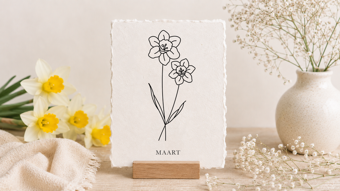 Geboortebloem Maart: Narcis