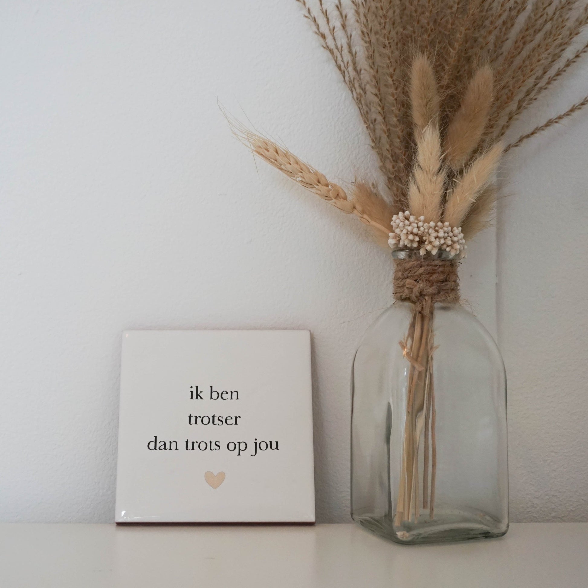 Ik ben trotser dan trots op jou Tegeltje