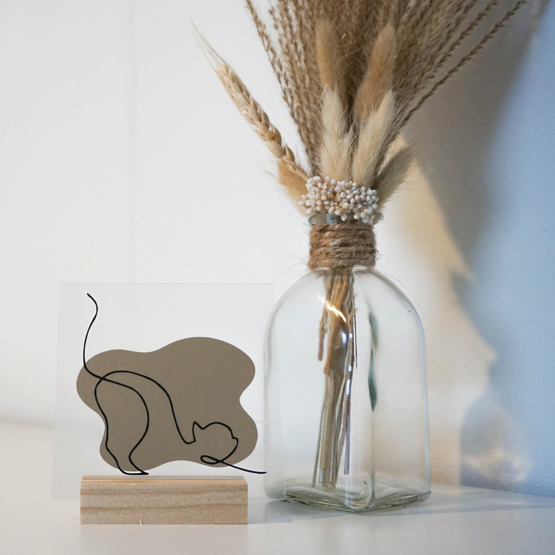 Perfect Cadeau voor Kattenliefhebbers